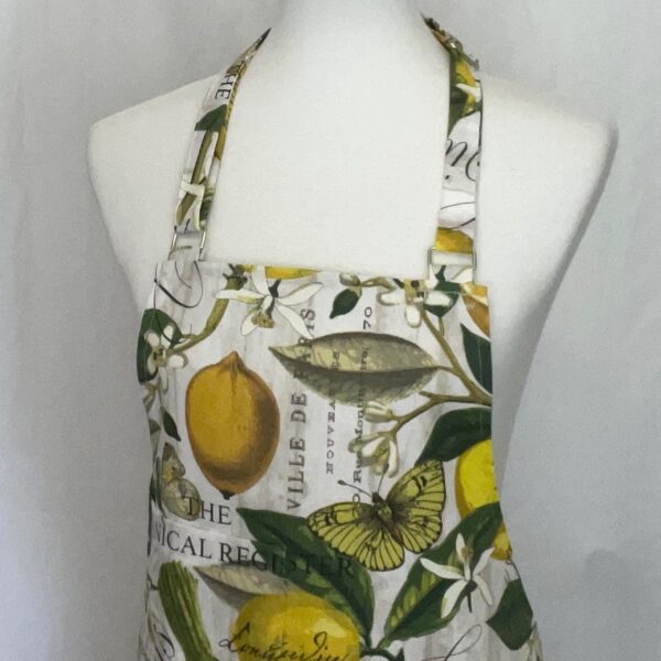 Zebra Island Lemon Apron and Potholder Set