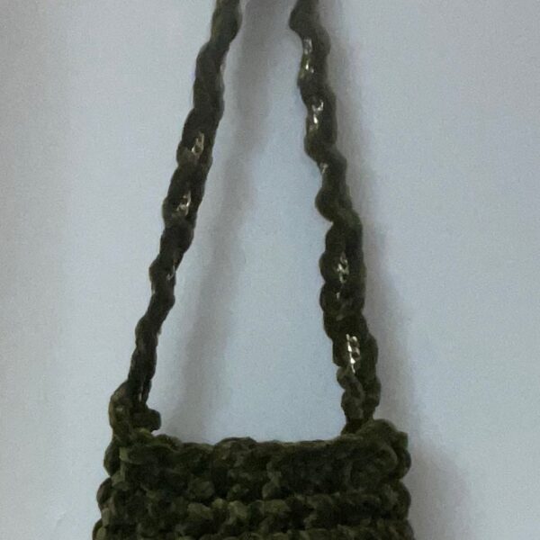 Zebra Island Olive Velvet Purse Handbag